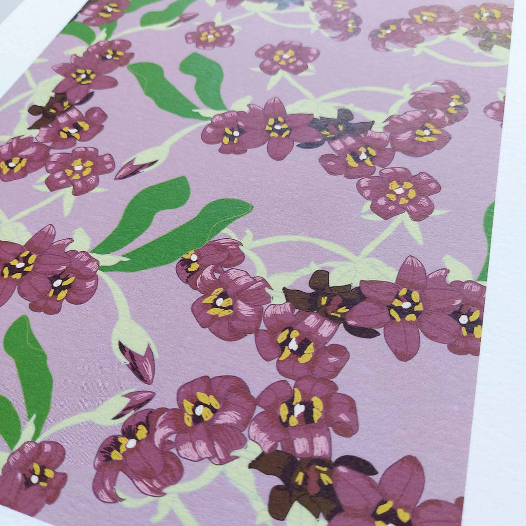 Pittosporum Art Print