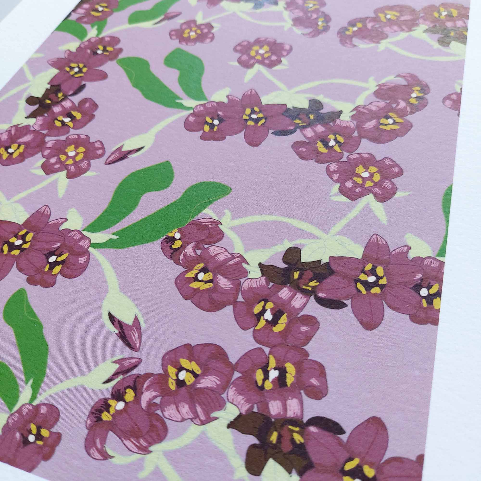 Pittosporum Art Print