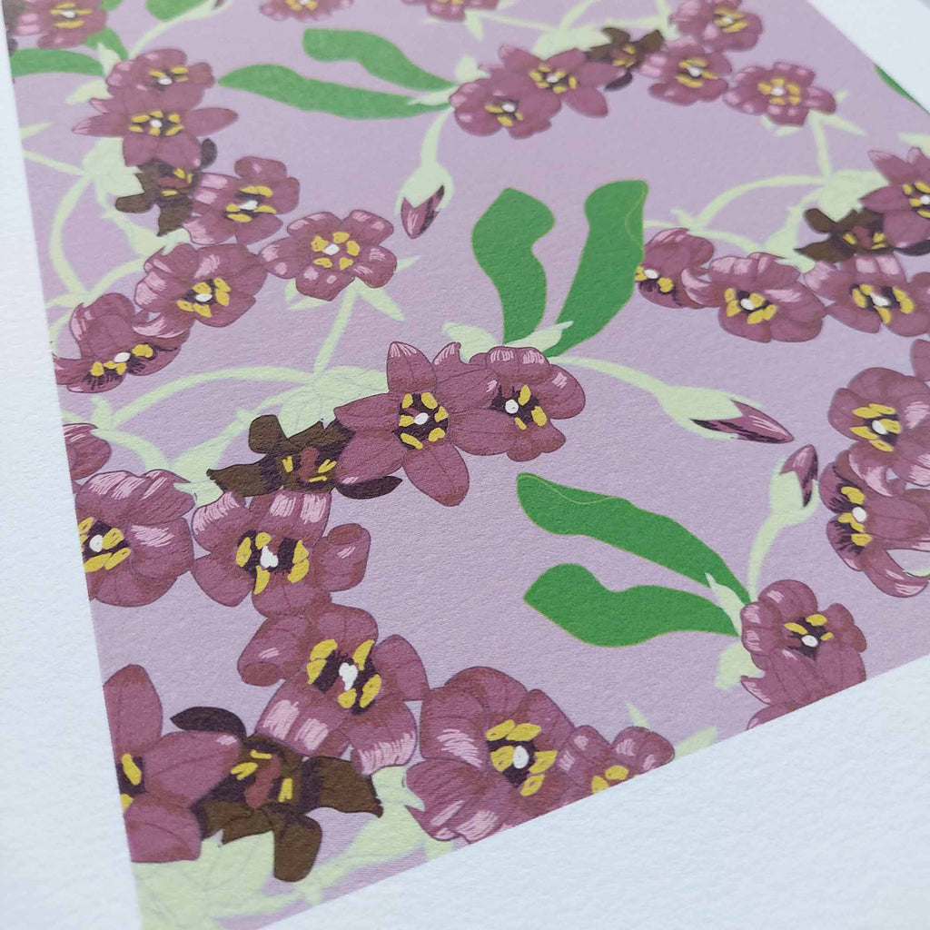 Pittosporum Art Print