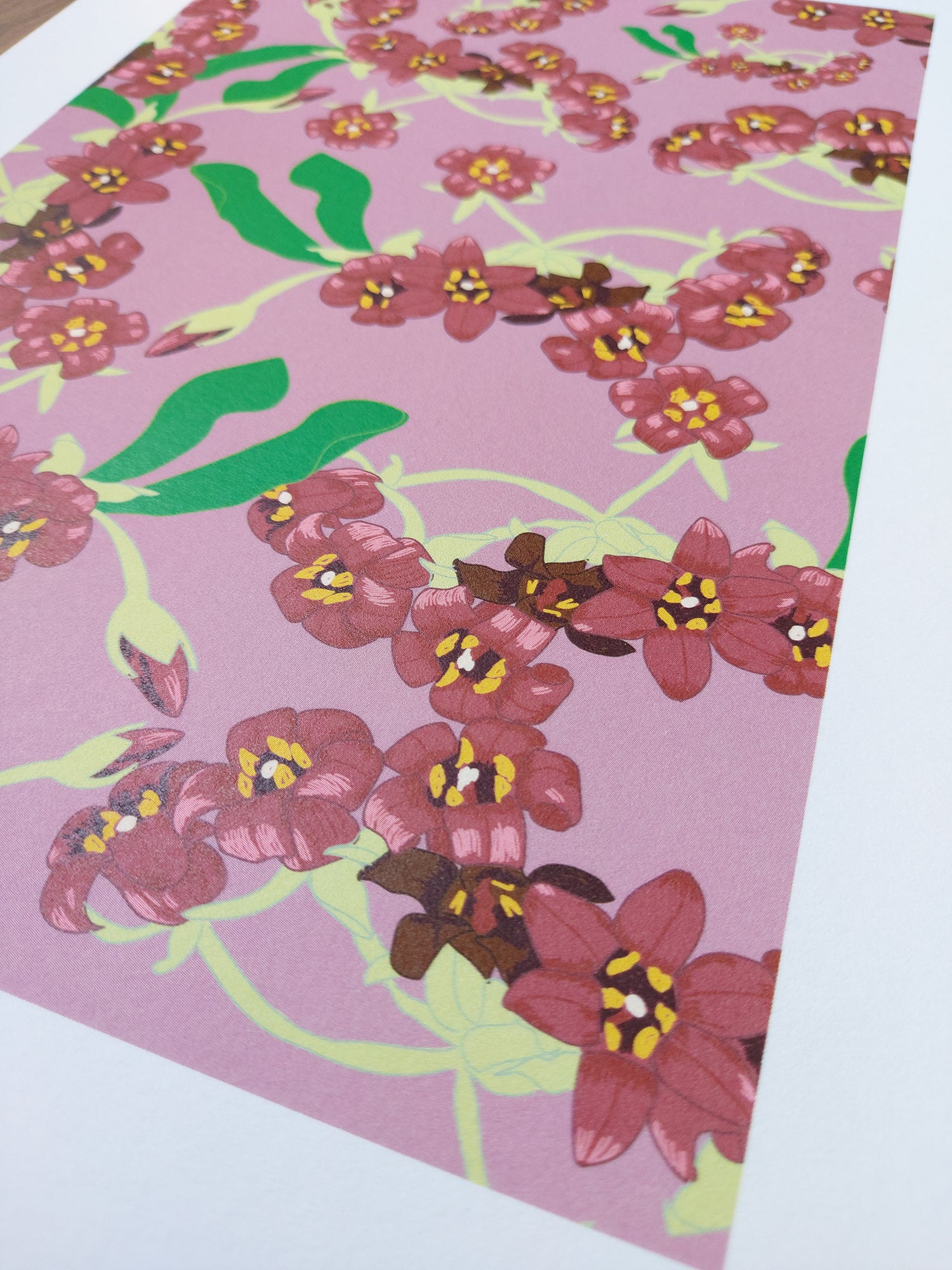 Pittosporum Art Print