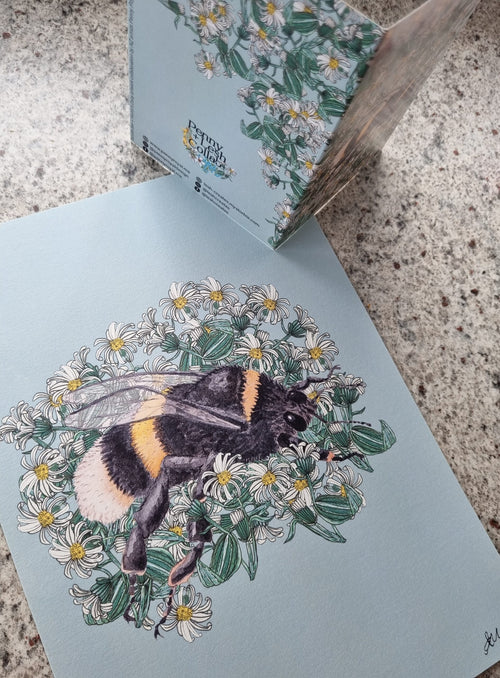 BumbleBee + Hectors Daisy, BumbleBee + Hector's Daisy, Penny+Lesh Collab, art prints