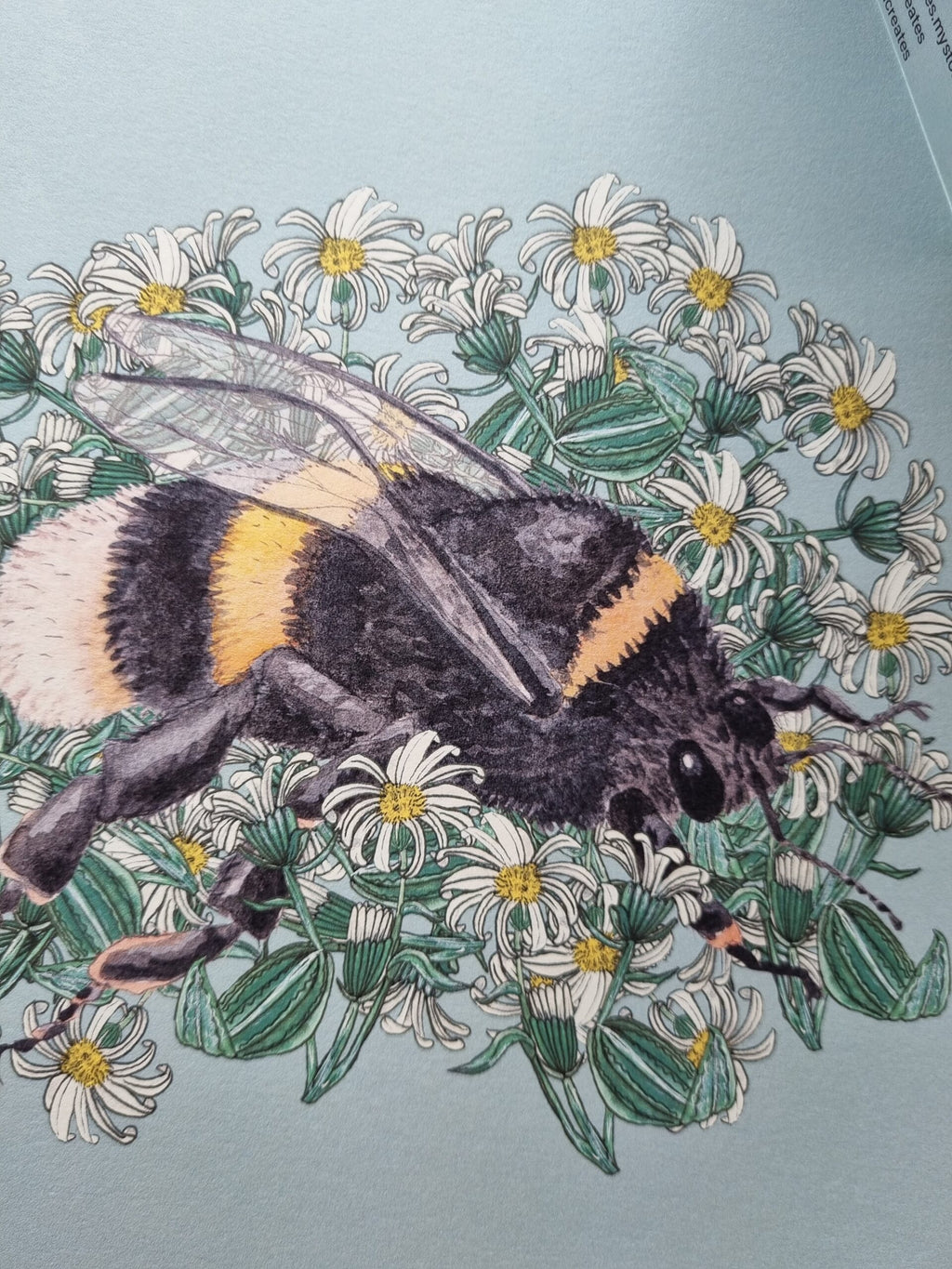 BumbleBee + Hectors Daisy, BumbleBee + Hector's Daisy, Penny+Lesh Collab, art prints