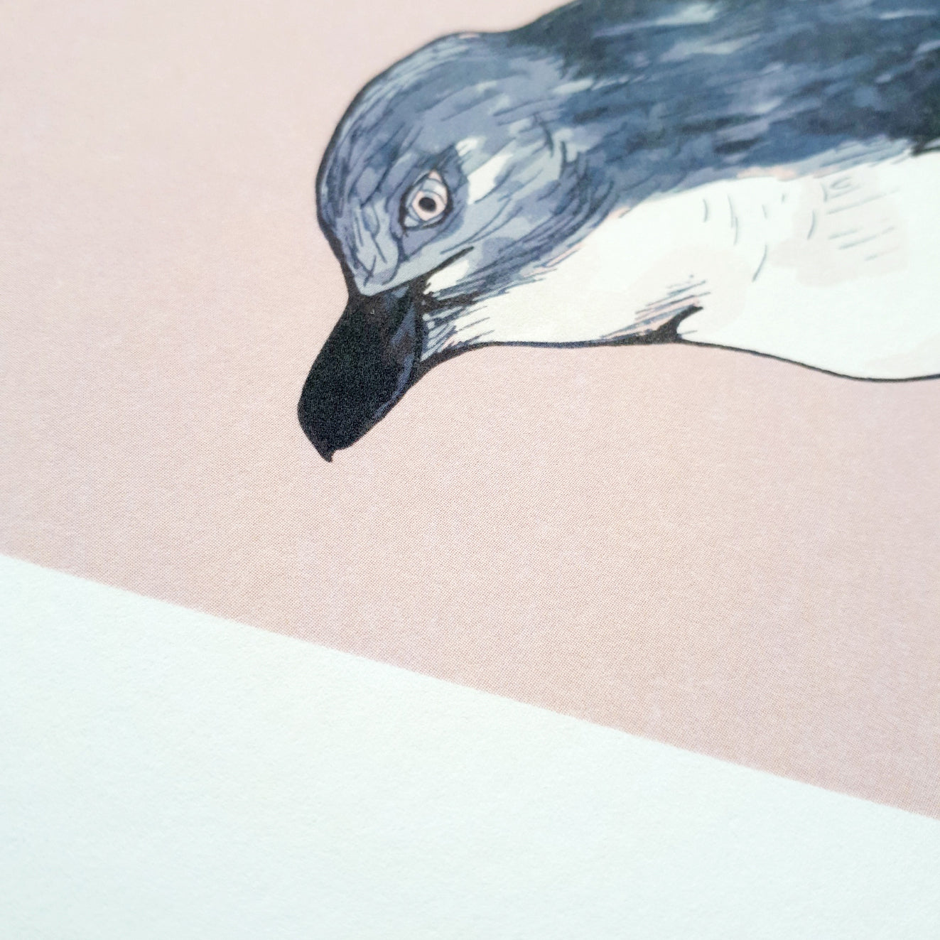Little Blue Penguin Art Print