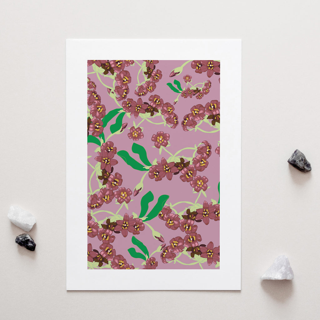 Pittosporum Art Print