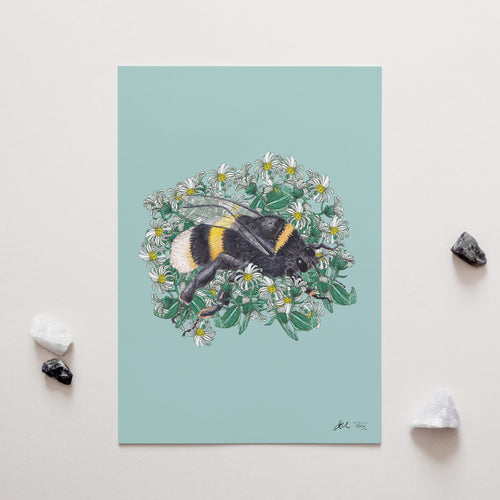 BumbleBee + Hectors Daisy, Penny + Lesh Collab Collection, BumbleBee + Hector's Daisy, Penny+Lesh Collab, art prints