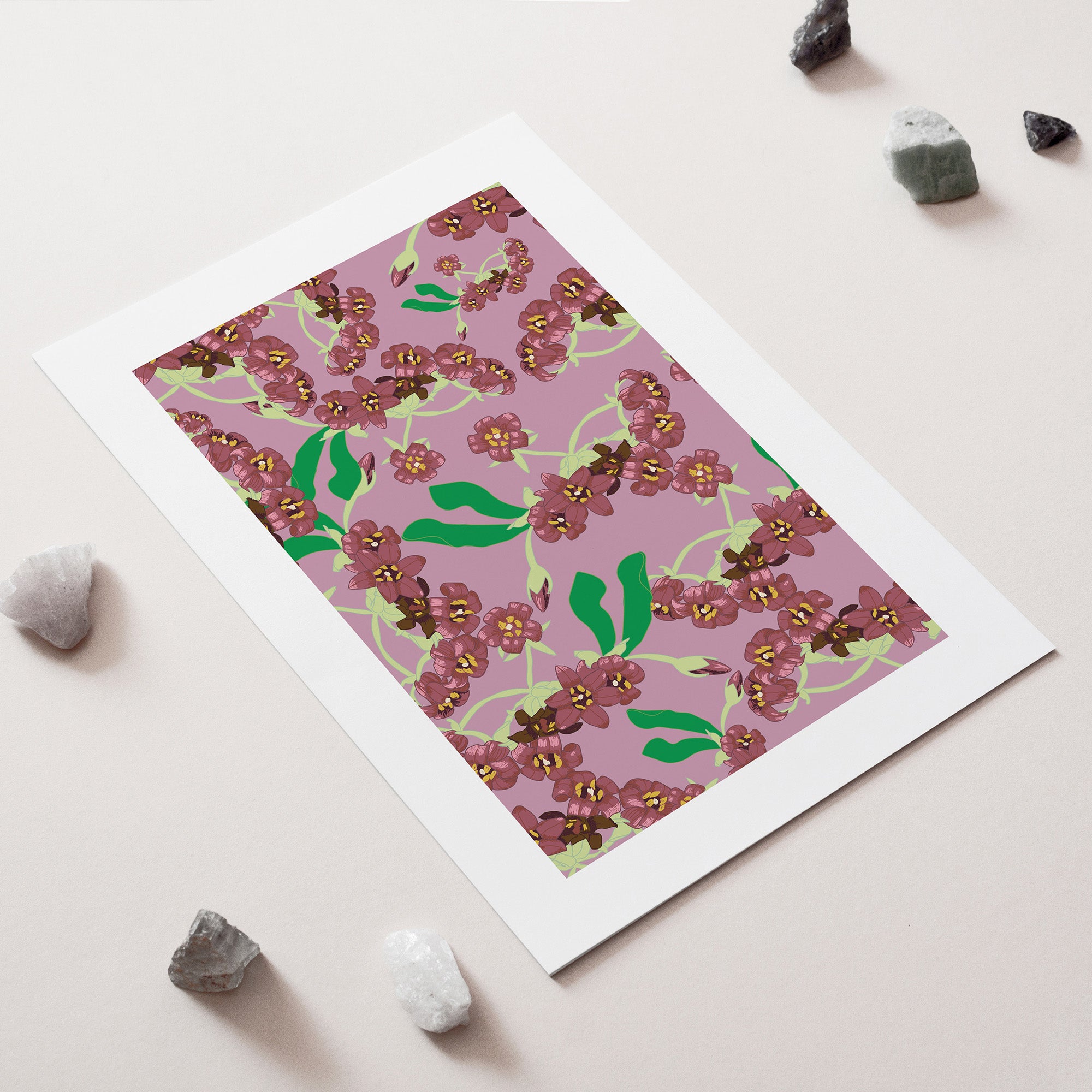 Pittosporum NZ Native Flowers Art Print for sale